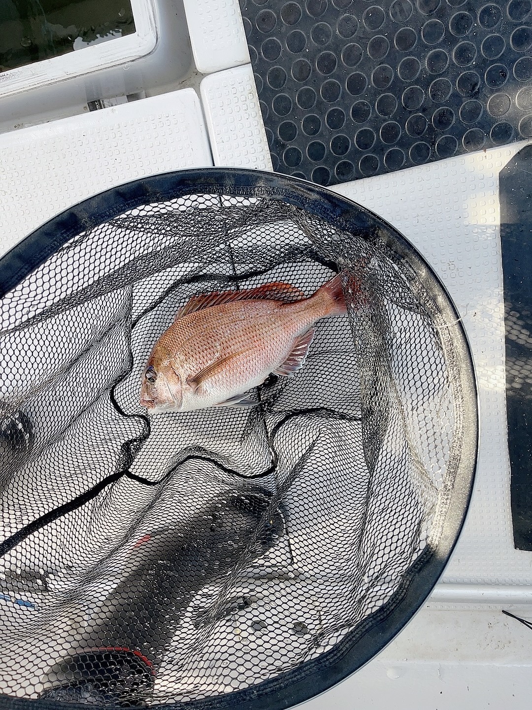 beauty_1746397231224